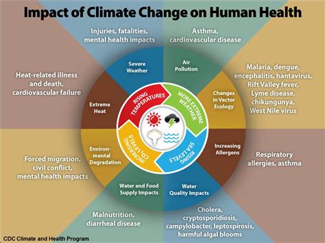 A warming climate contributes to health issues